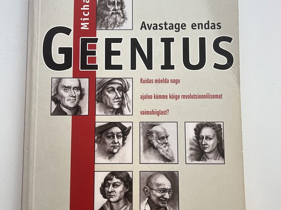 Raamat Avastage endas geenius