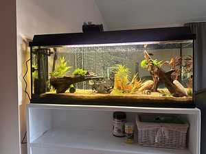 Akvaarium 120liitrit koos kapiga (3 foto / 4)