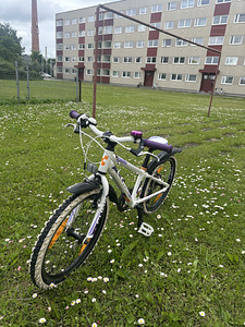 Jalgratas (2 foto / 5)