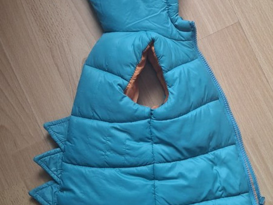 Vest