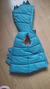Vest (1 foto / 2)