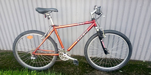 TREK MountainTrack 820 (1 foto / 7)