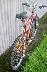 TREK MountainTrack 820 (2 foto / 7)