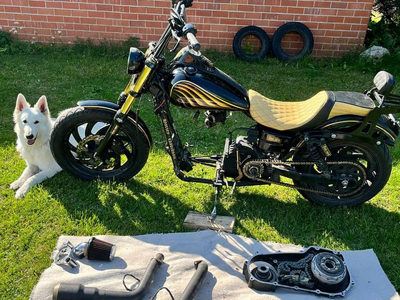 Harley davidson fxdbi 2007