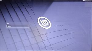 Sülearvuti HP Pavilion dv6 (SSD120GB/4GBRAM/Linux Mint) (5 foto / 6)