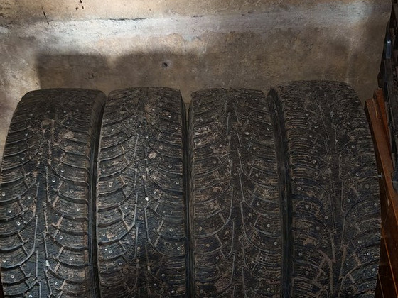 Naastrehvid 195/65/R15 Wolf 91T