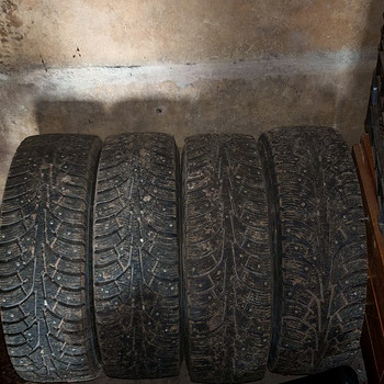 Naastrehvid 195/65/R15 Wolf 91T