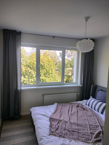 Maali- ja viimistlustööd (5 foto / 7)