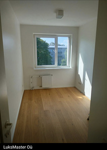 Maali- ja viimistlustööd (6 foto / 7)