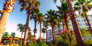 ROYAL ATLANTIS BEACH (6 foto / 10)