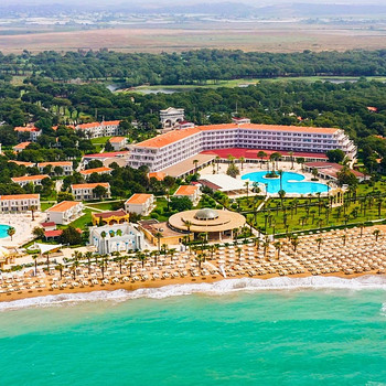 SELECTUM NOA BELEK