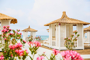 SELECTUM NOA BELEK (8 foto / 10)