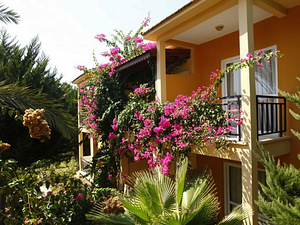 MIRAMOR GARDEN RESORT (4 foto / 10)