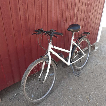 Naiste jalgratas