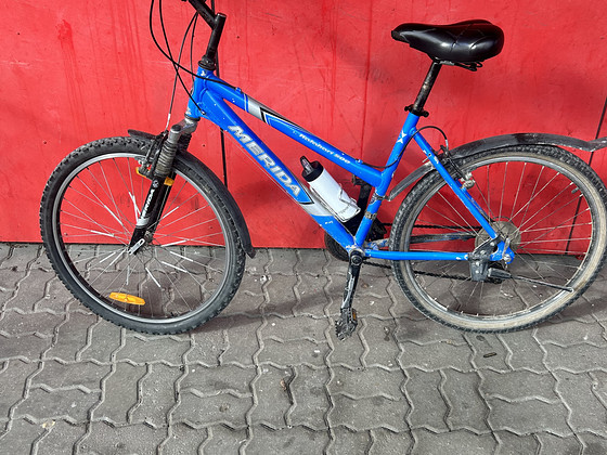 Ratas MERIDA