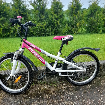 Laste jalgratas Classic princessa 20"