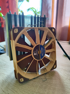 Noctua NF-F12 (1 foto / 1)