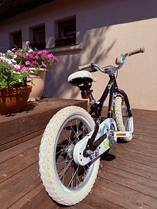 GT Laguna 16” lastejalgratas (2 foto / 4)