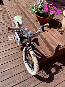 GT Laguna 16” lastejalgratas (3 foto / 4)