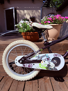 GT Laguna 16” lastejalgratas (4 foto / 4)