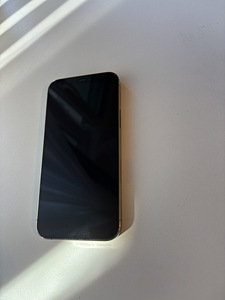 iPhone 12 Pro 256GB Gold (Võib tingida) (1 foto / 5)