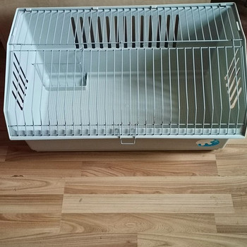 Näriliste puur