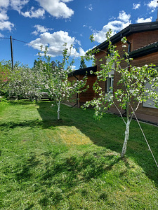 Ketsemani tee 14, Vasknarva, Alutaguse vald, Ida-Virumaa (16 фото из 18)