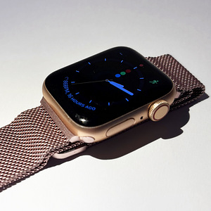 Apple Watch SE (1-го поколения) 40 мм GPS Rose Gold + миланс (1 фото из 7)