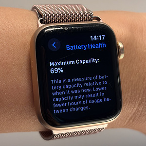 Apple Watch SE (1-го поколения) 40 мм GPS Rose Gold + миланс (6 фото из 7)
