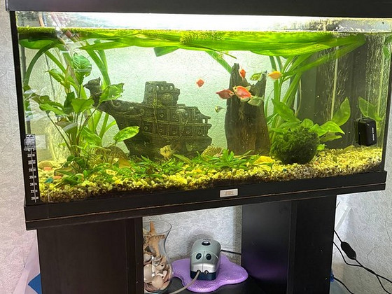 Akvaarium 150 l