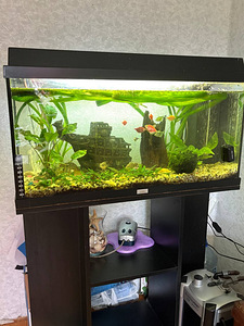 Akvaarium 150 l (1 foto / 7)