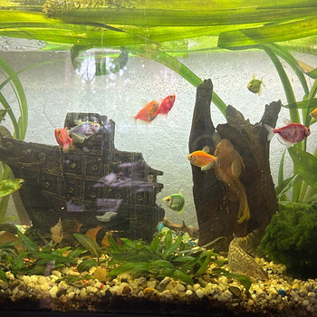 Akvaarium 150 l