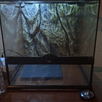 Terraarium