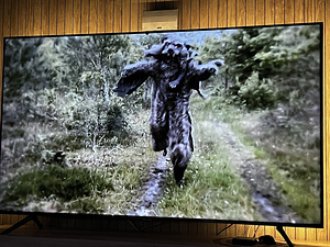Kängurusaapad (Skyrunner Stilts) ekstreemsuste fännidele (7 foto / 10)