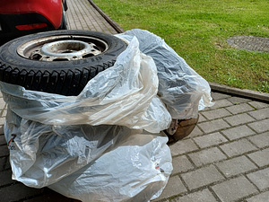 Talverehvid velgedel (3 foto / 3)
