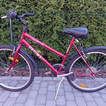 Jalgratas Optima Mountain Bike 21 käiguga