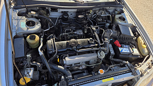 Nissan Primera (4 фото из 6)