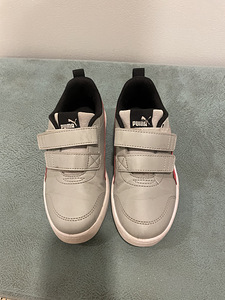 Puma tossud, s.31 (1 foto / 4)