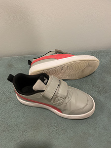Puma tossud, s.31 (2 foto / 4)