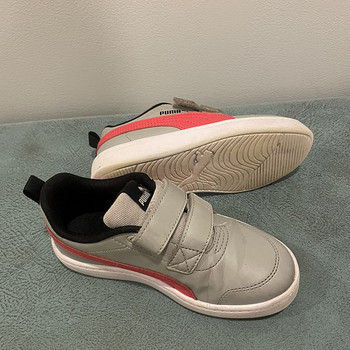 Puma tossud, s.31