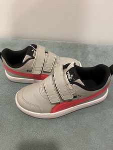 Puma tossud, s.31 (3 foto / 4)