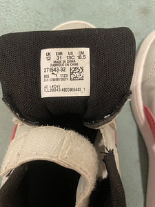 Puma tossud, s.31 (4 foto / 4)