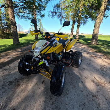 Bashan bs200s-7