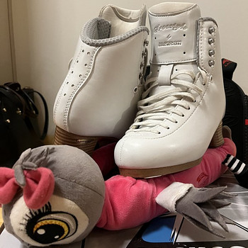 Коньки Jackson