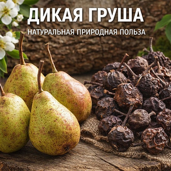 Savvaļas bumbieris