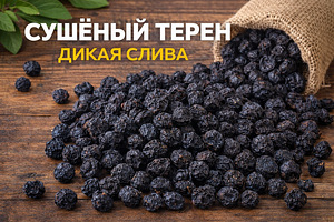 Сушёный терен (1 фото из 2)