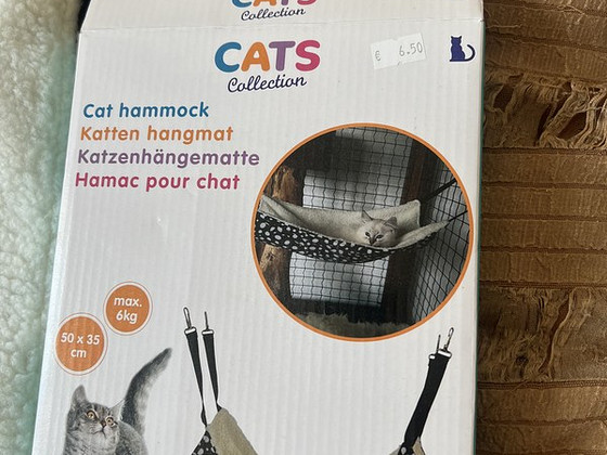 Kassi võrkkiik