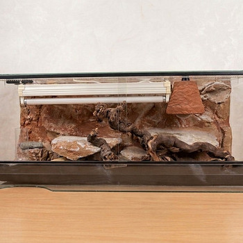 Suur terraarium koos tarvikutega