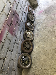3 rattalise Rattad (1 foto / 2)