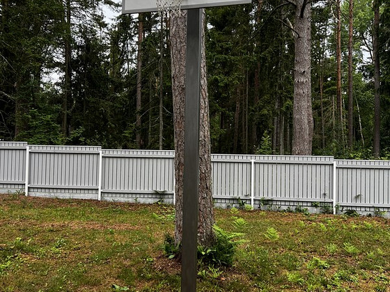 Korvpallikorv lauaga alusel